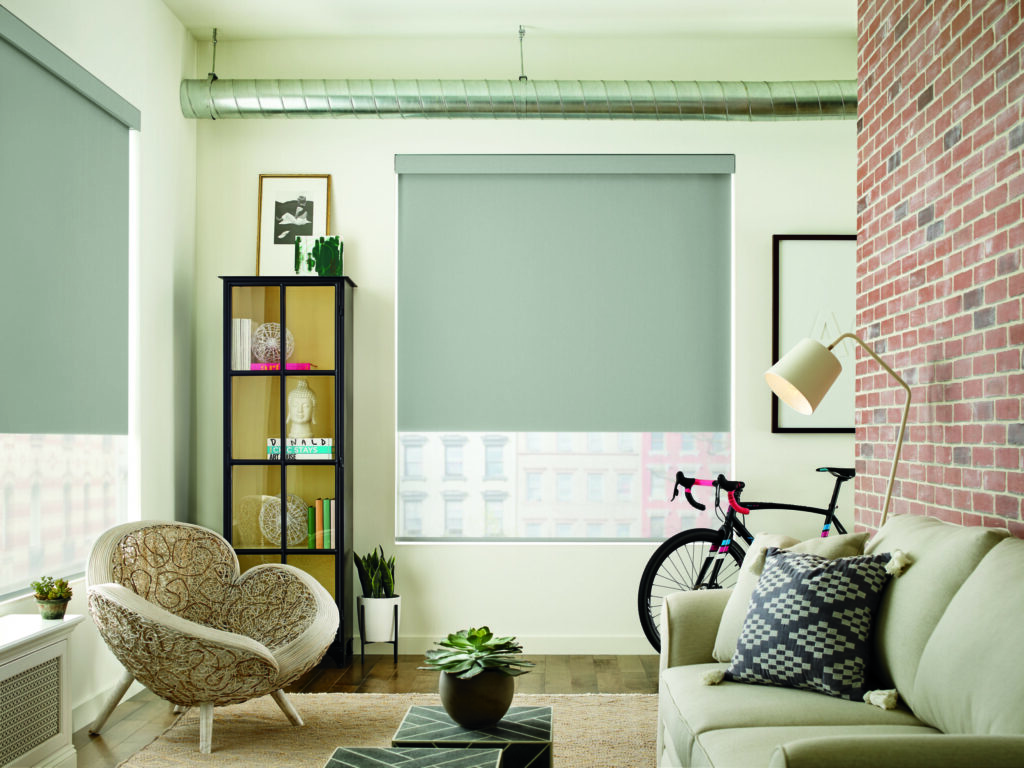 Roller Shades inspiration