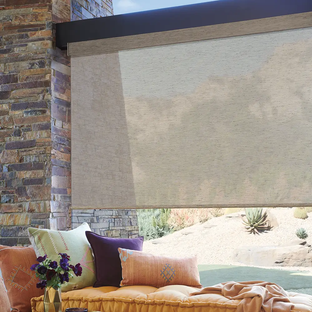 Roller Shades inspiration
