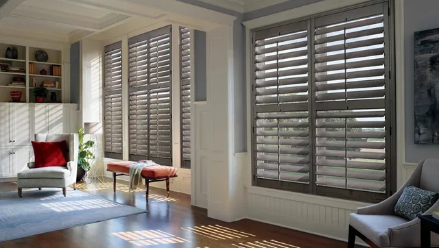 Detailed view of shutter louvres, frame and hinge
